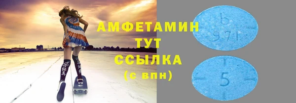 прущие грибы Вяземский